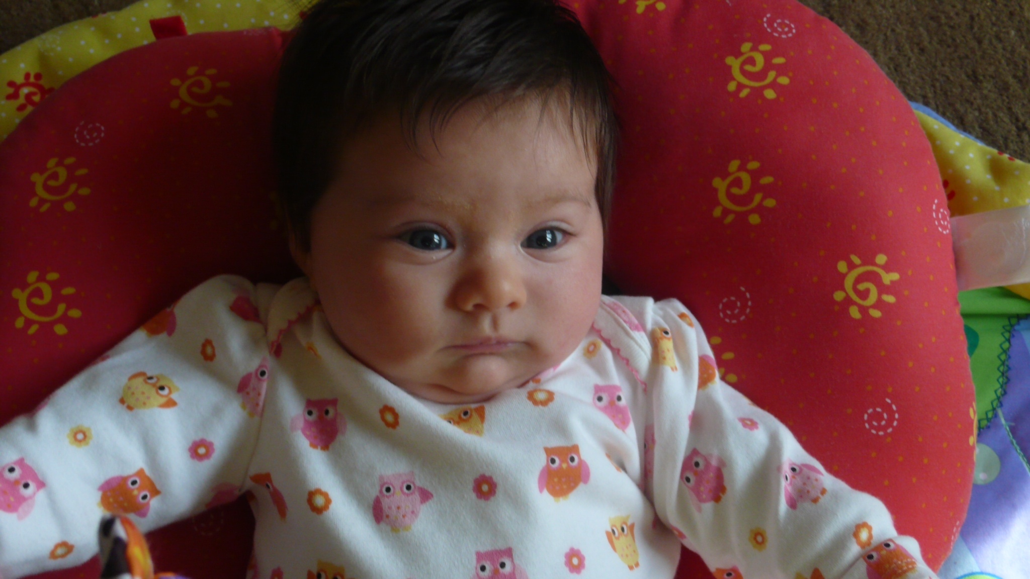 20120301-143739.jpg