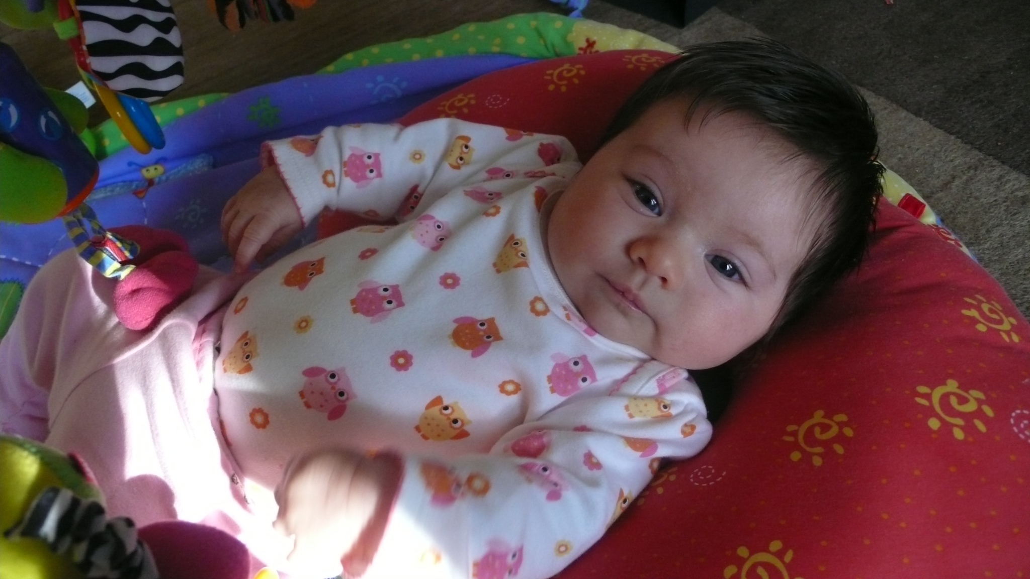 20120301-143934.jpg